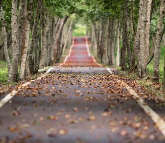 סיור טעימות שוק מחנה יהודה